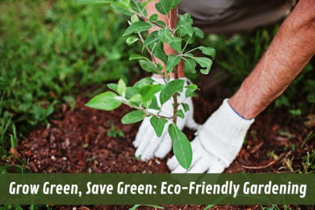 Read Article: Grow Green, Save Green: Eco-Friendly Gardening