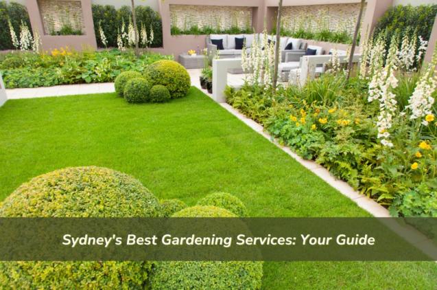 Sydney's Best Gardening Services: Your Guide