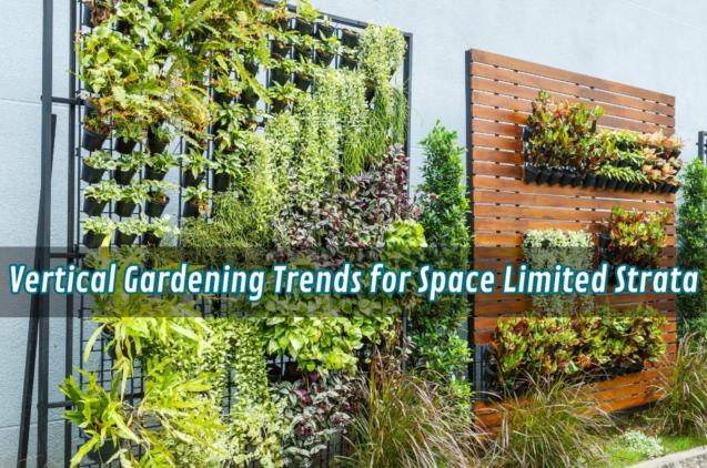 Read Article: Vertical Gardening Trends for Space Limited Strata