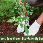 Grow Green, Save Green: Eco-Friendly Gardening