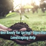 Is Your Garden Ready for Spring? Signs You Need Landscaping Help