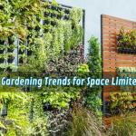 Vertical Gardening Trends for Space Limited Strata