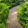 Paving Specialist