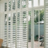 Window Shutters