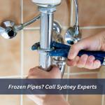 Read Article: Frozen Pipes? Call Sydney Experts