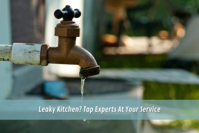 Leaky Kitchen? Tap Experts At Your Service