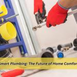 Smart Plumbing: The Future of Home Comfort