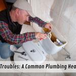 Toilet Troubles: A Common Plumbing Headache