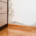 Essential Guide on Preventing Water Intrusion in Australian Homes