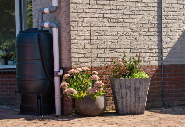 Read Article: Essential Tips for Installing Rainwater Harvesting Systems in Australia