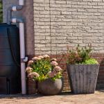 Essential Tips for Installing Rainwater Harvesting Systems in Australia