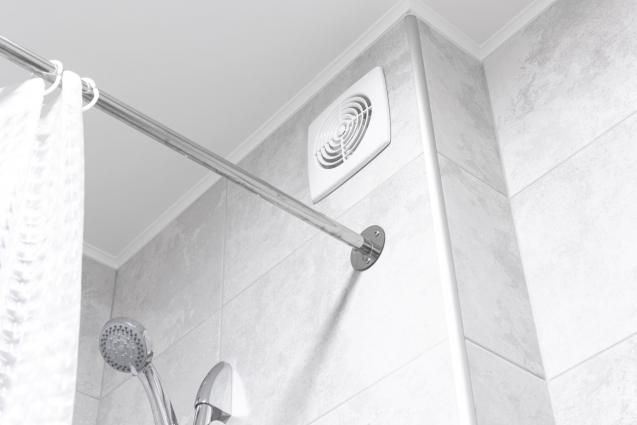 Read Article: Essential Tips for Using Ventilation to Prevent Bathroom Mould