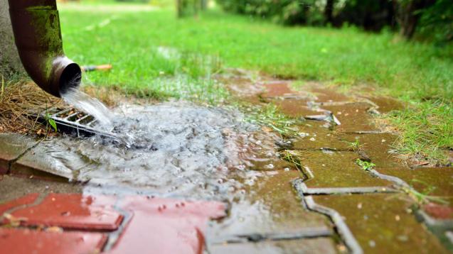 Read Article: Understanding the Dangers of a Clogged Outdoor Drain