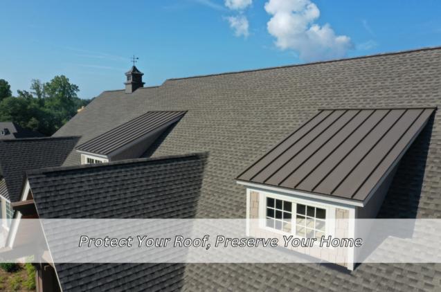 Read Article: Protect Your Roof, Preserve Your Home