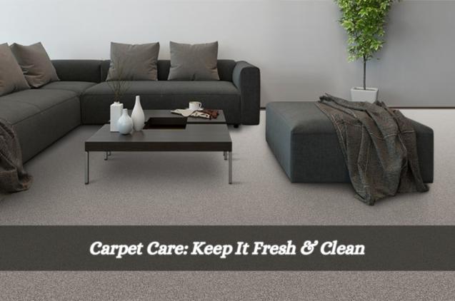 Carpet Care: Keep It Fresh & Clean