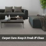 Carpet Care: Keep It Fresh & Clean