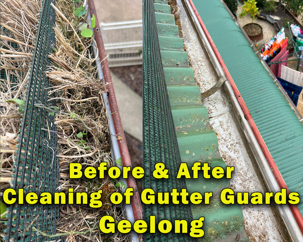 Service your Gutter Guards