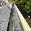 Clean out of gutter protection systems.