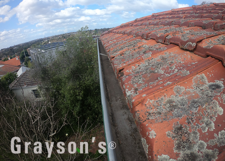 View Photo: Gutter clean out on two storey roofs