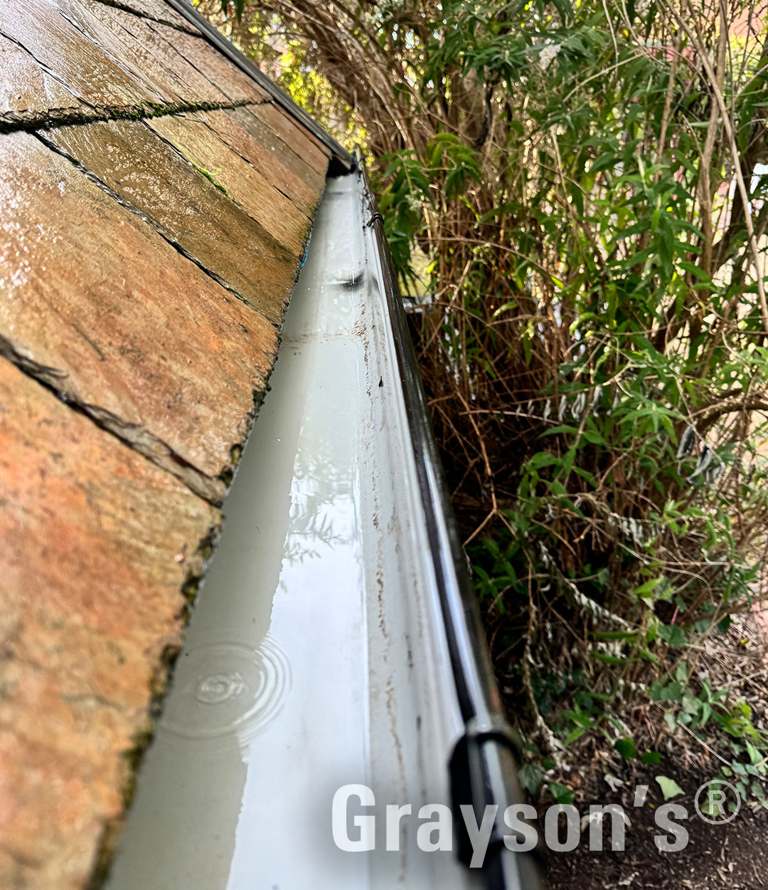 View Photo: Totally clean gutters are our mission!