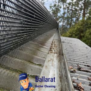 View Photo: Gutter Guard Repairs and cleaning