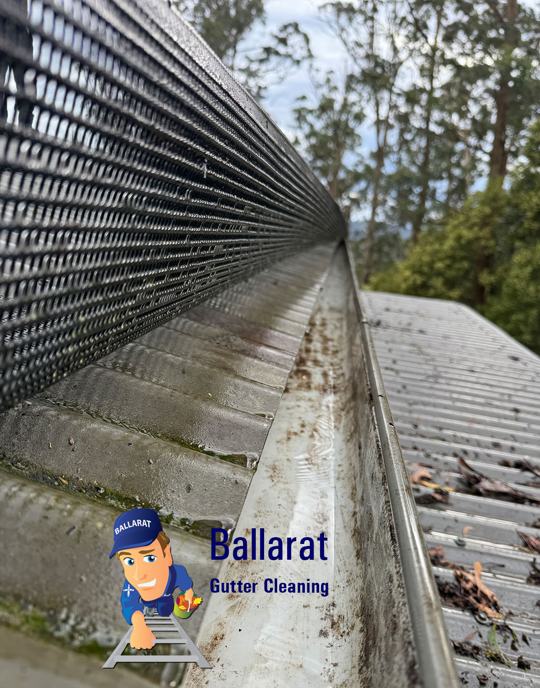 Gutter Guard Repairs and cleaning