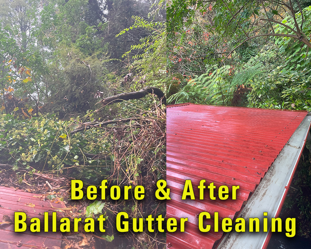 View Photo: Tragically blocked roof and gutters in Ballarat