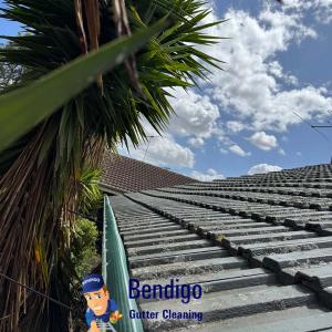 View Photo: Gutter Cleaning Bendigo Leaf Guards