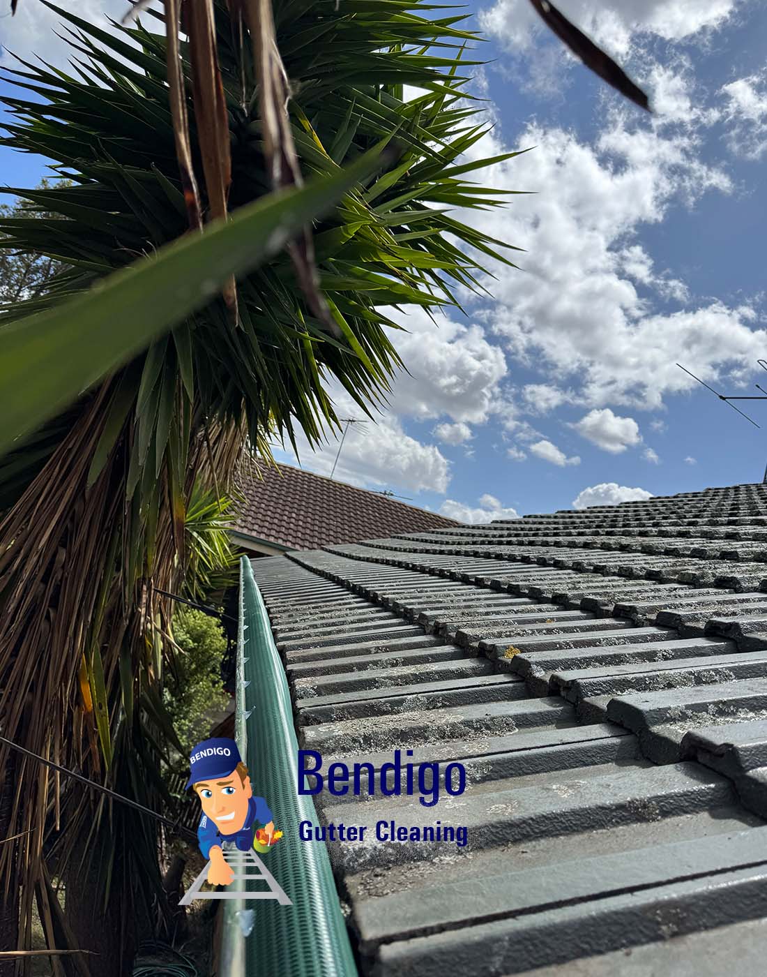 View Photo: Gutter Cleaning Bendigo Leaf Guards