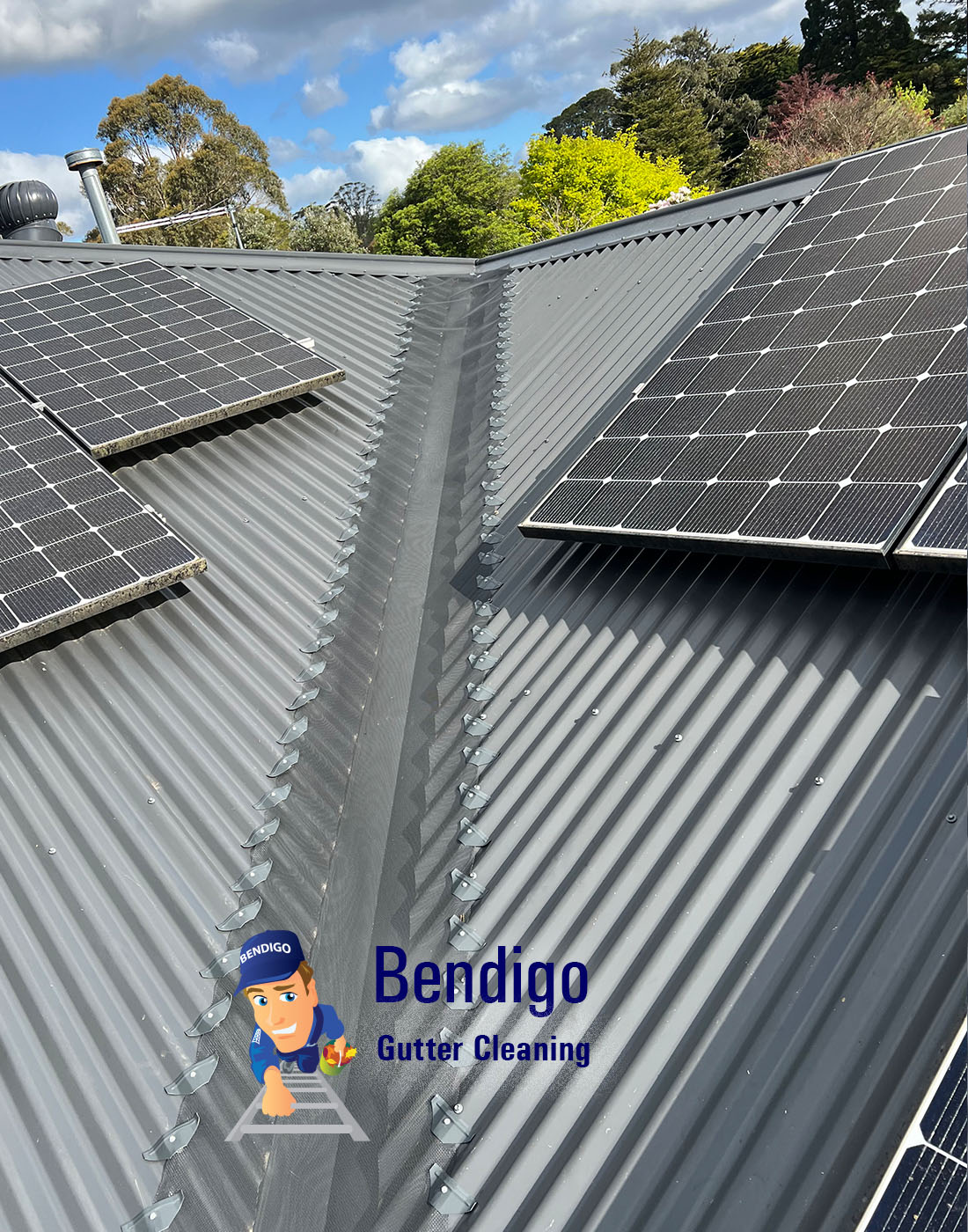 Gutter Cleaning Bendigo Valley Guards