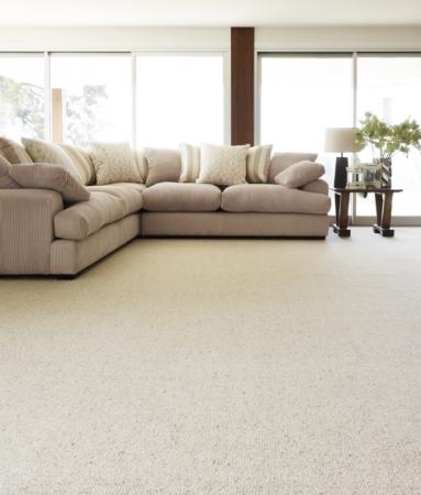 View Photo: Naturally Smart Naturally Tempting Carpet