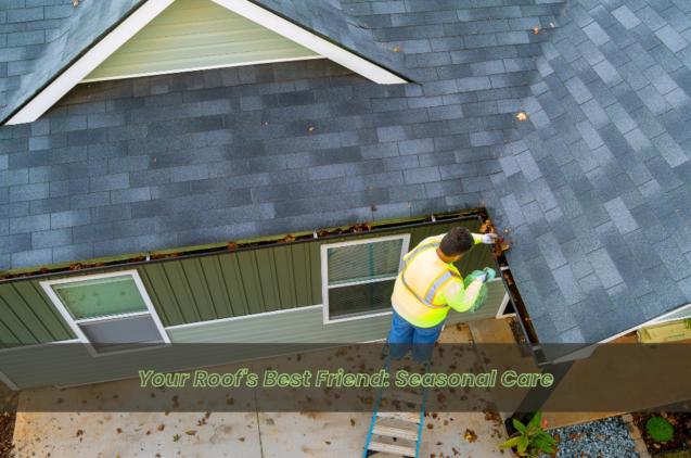 Your Roof's Best Friend: Seasonal Care