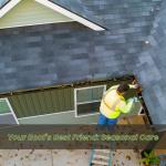 Your Roof's Best Friend: Seasonal Care