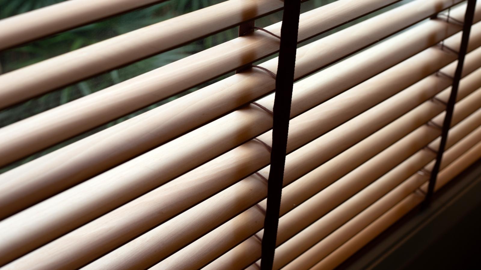 Venetian Blinds