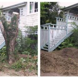 View Photo: Stump Grinding Beside Exterior Stairs