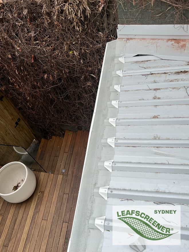 LEAFSCREENER Sydney gutter guard on flat roof 