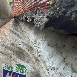 View Photo: View underneath a Leafbusters Gutter Guard