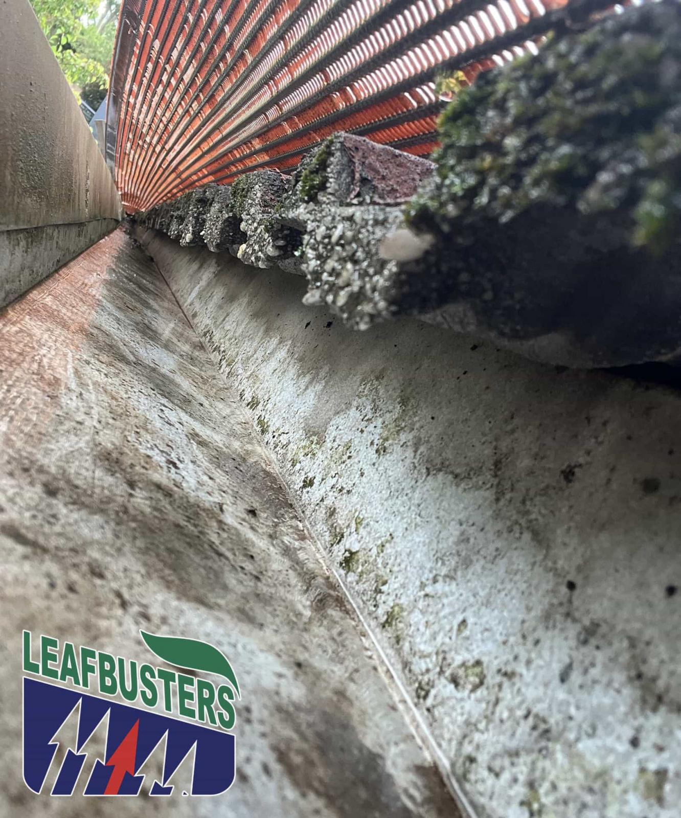 View Photo: View underneath a Leafbusters Gutter Guard