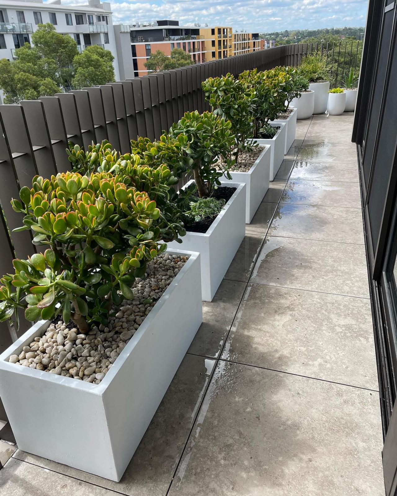 View Photo: Balcony Garden Designer Sydney | Mosarte Garden Living