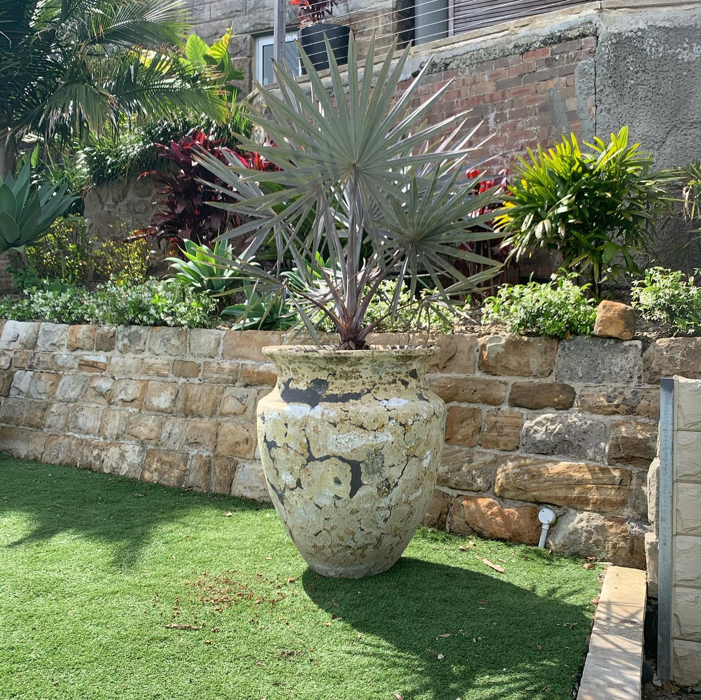 View Photo: Garden Designer North Shore Sydney