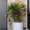 Garden Designer Northern Beaches