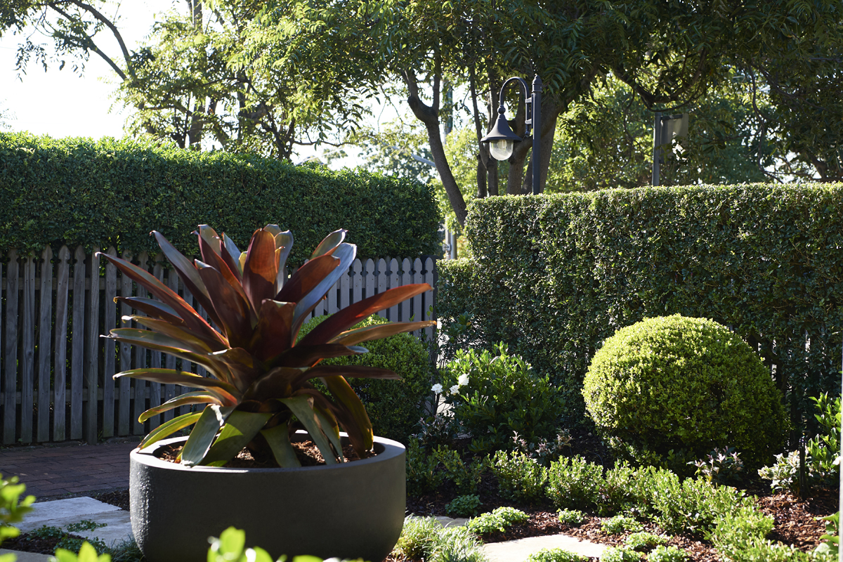 View Photo: Garden Designer Sydney | Mosarte Garden Living