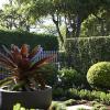 Garden Designer Sydney | Mosarte Garden Living