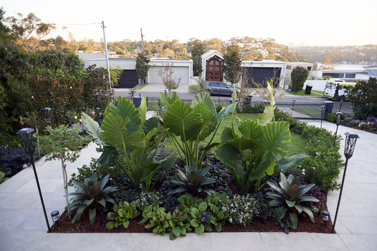 View Photo: Landscape design Sutherland Shire Sydney