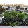 Landscape design Sutherland Shire Sydney