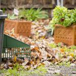 Deceased Estate Rubbish Removal and Clean Ups.