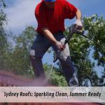 Sydney Roofs: Sparkling Clean, Summer Ready