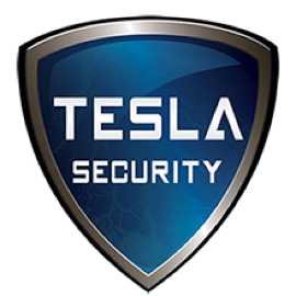 Tesla Security