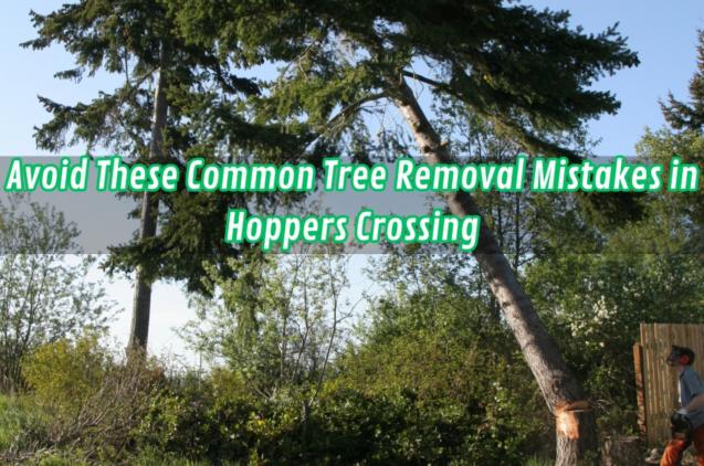 Read Article: Avoid These Common Tree Removal Mistakes in Hoppers Crossing