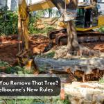 Read Article: Can You Remove That Tree? Melbourne's New Rules